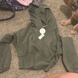 green cropped hoodie aerie